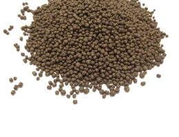 Exporter of Moringa Pellets