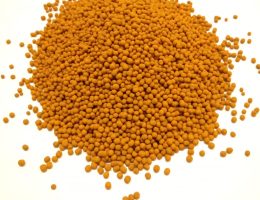 Exporter of Turmeric or Curcumin Pellets