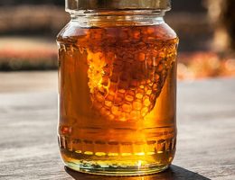 Honey-Exporter-from-India