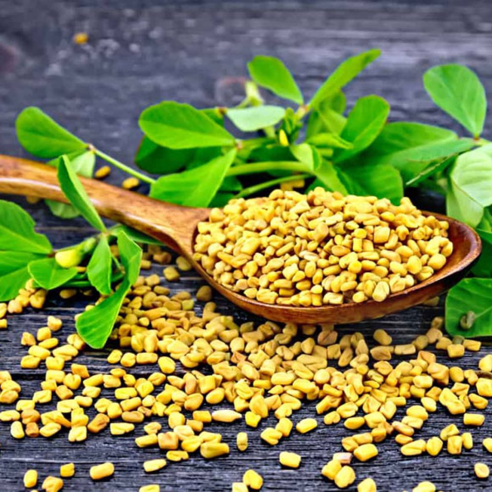 Natural-Fenugreek-Exporter-from-India