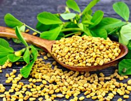 Natural-Fenugreek-Exporter-from-India