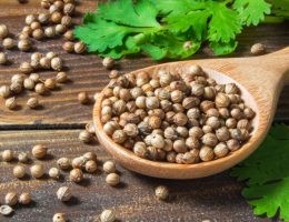 Organic-Coriander-Exporter-from-India