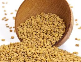 Organic-Fenugreek-Exporter-from-India