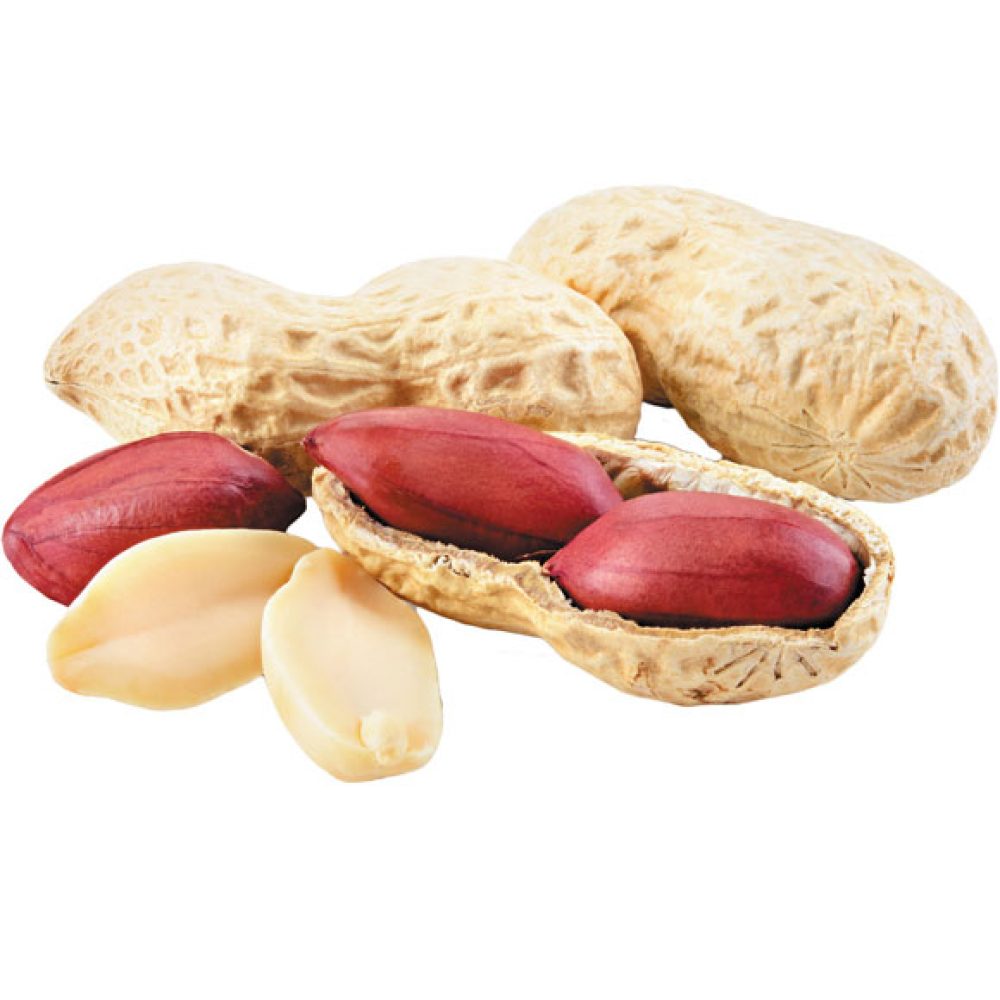 Peanut-Exporter-from-India