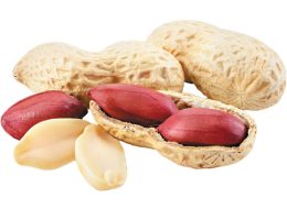 Peanut-Exporter-from-India