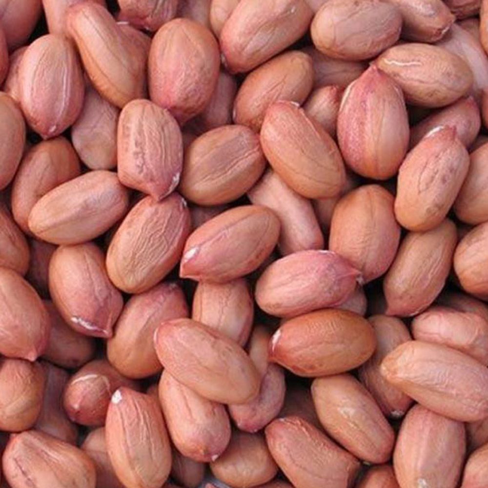 Peanut-without-shell-exporter-from-India