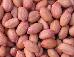 Peanut-without-shell-exporter-from-India