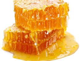 Raw Honey Exporter from India