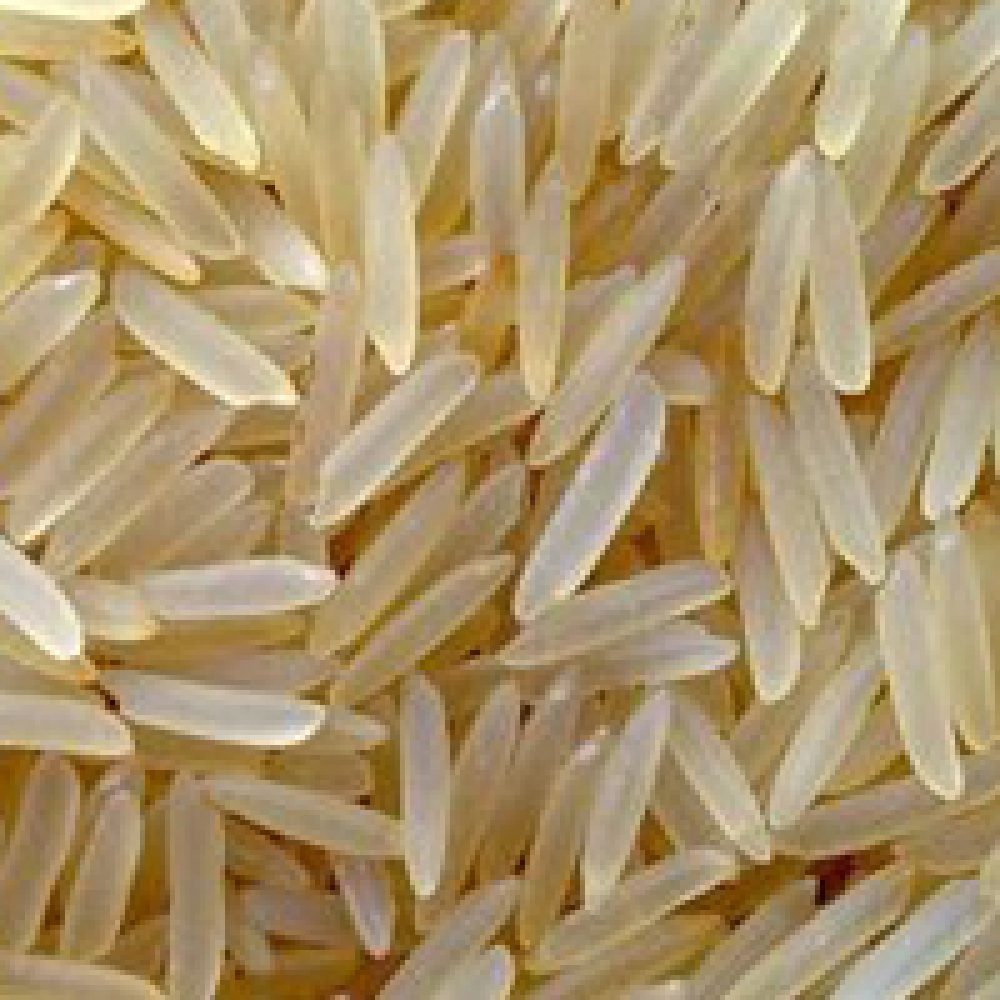 rice3