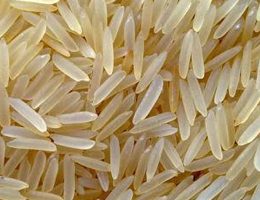 rice3